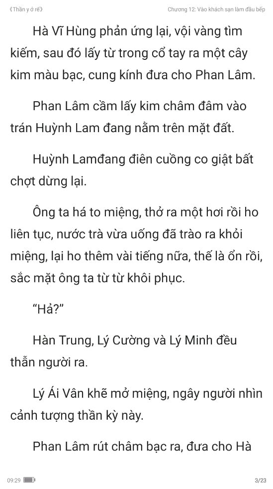 thần y ở rể