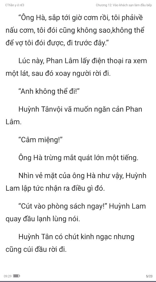 thần y ở rể