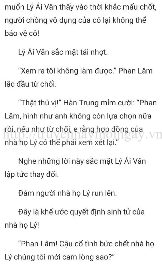 thần y ở rể