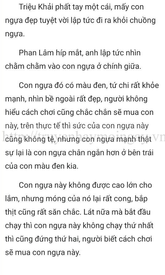 thần y ở rể