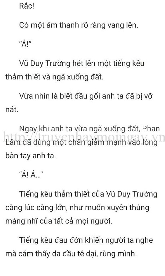 thần y ở rể