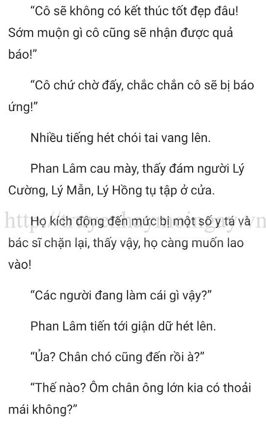 thần y ở rể