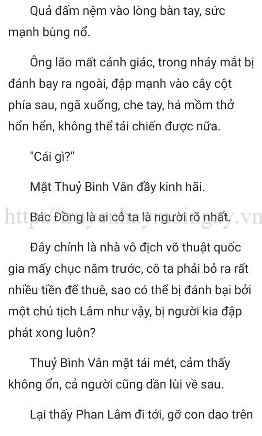 thần y ở rể