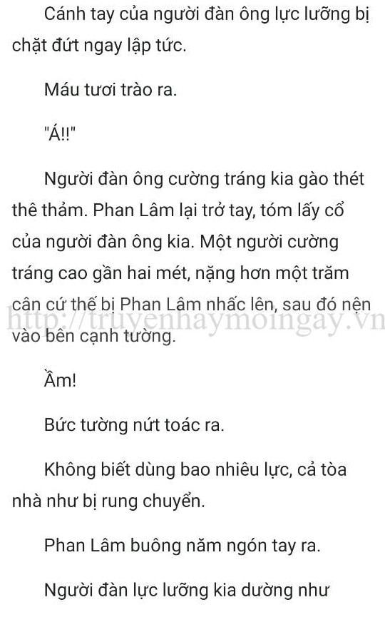 thần y ở rể