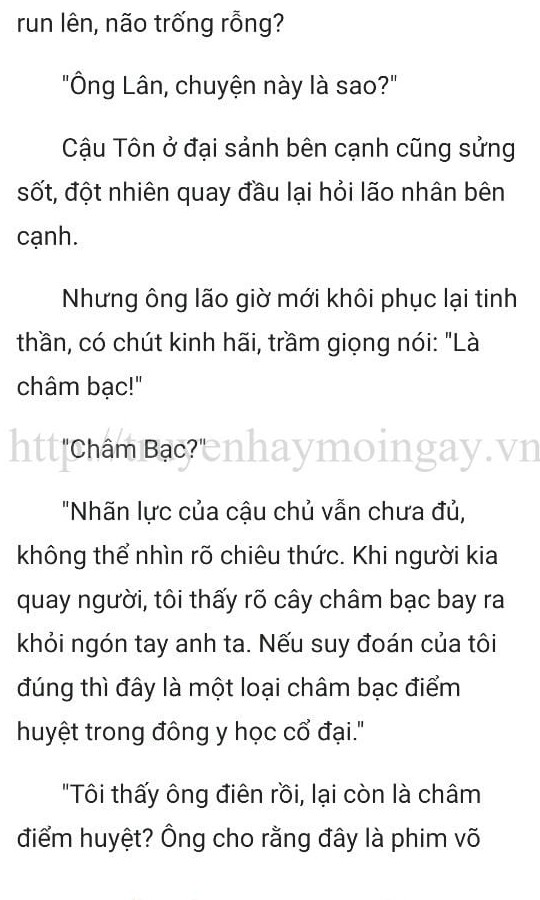 thần y ở rể