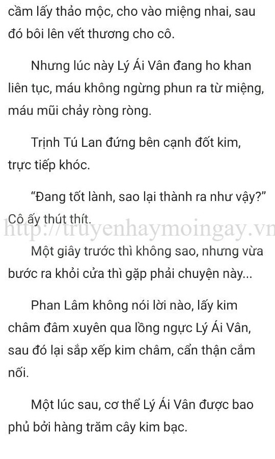 thần y ở rể