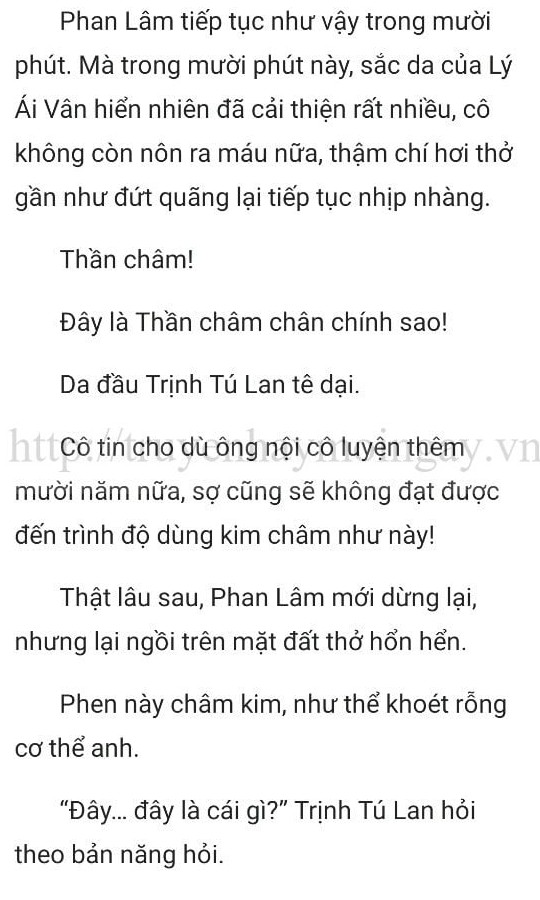 thần y ở rể