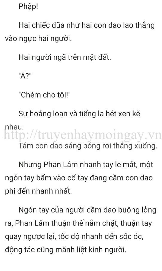 thần y ở rể