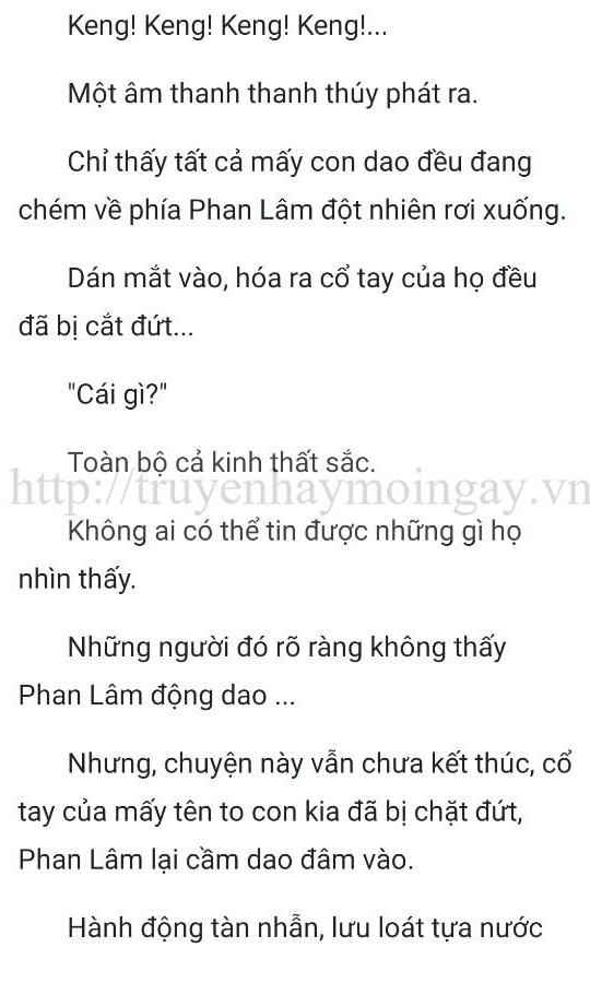 thần y ở rể