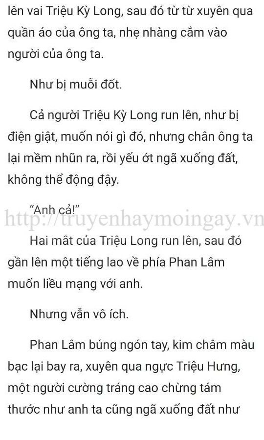 thần y ở rể