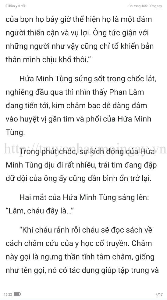 thần y ở rể