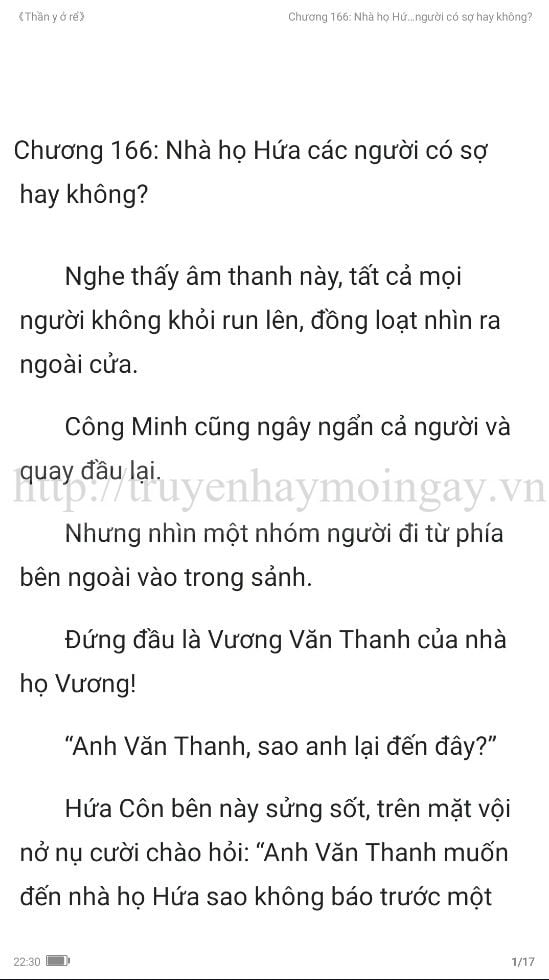 thần y ở rể