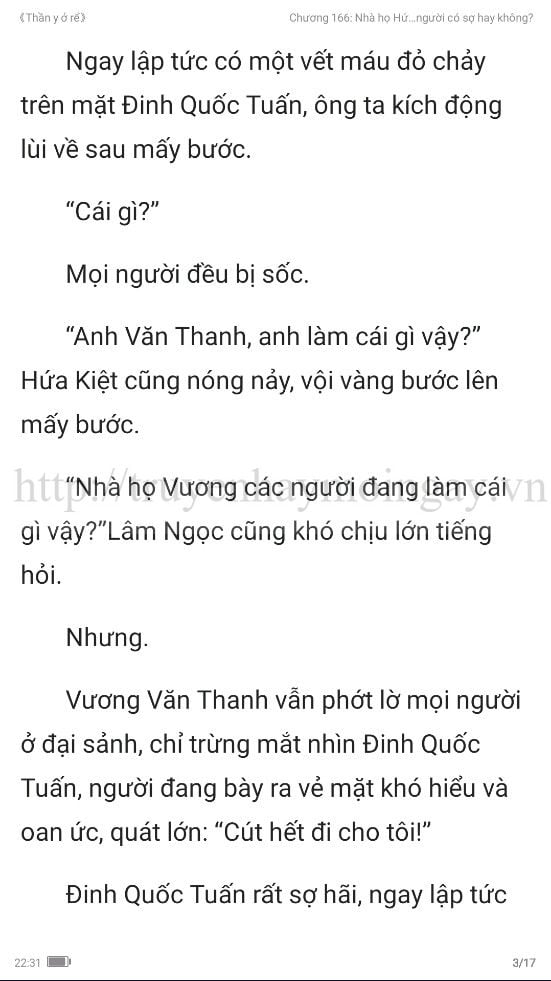 thần y ở rể