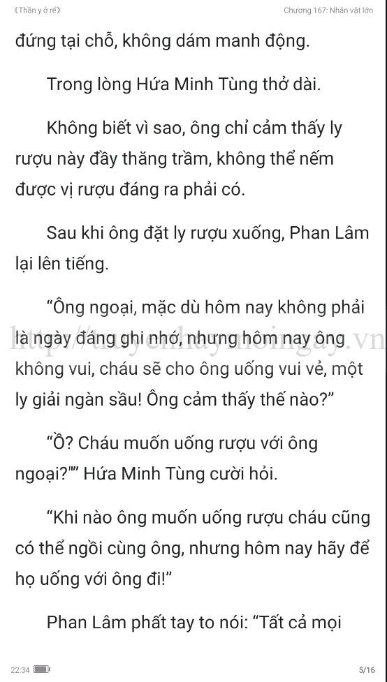 thần y ở rể