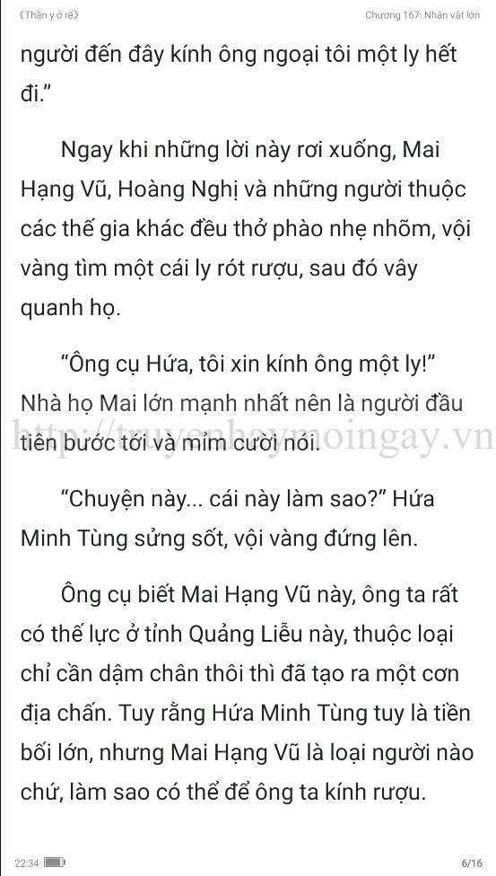 thần y ở rể