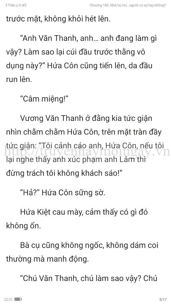 thần y ở rể