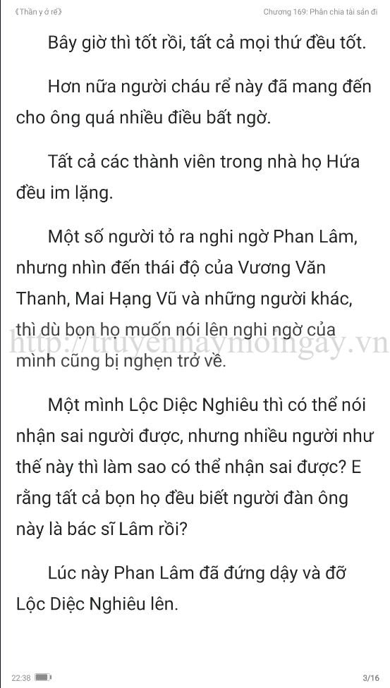 thần y ở rể