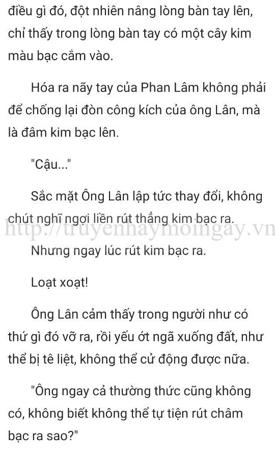 thần y ở rể