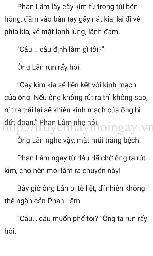 thần y ở rể