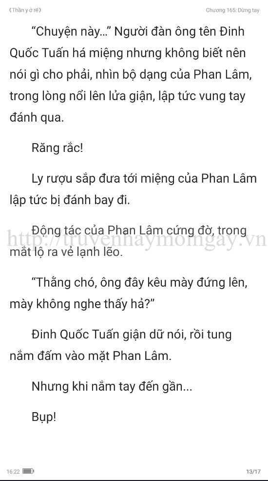 thần y ở rể