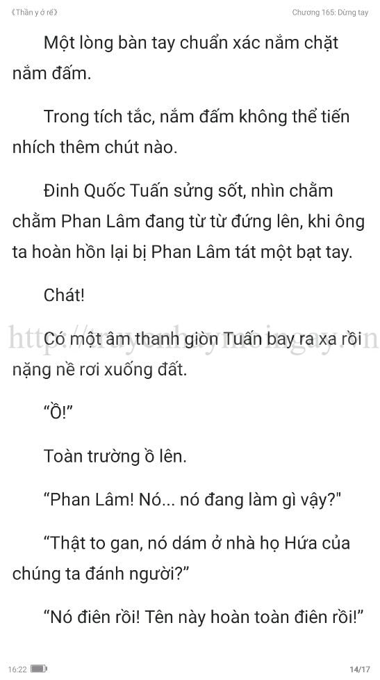 thần y ở rể