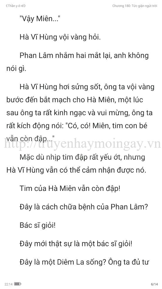 thần y ở rể