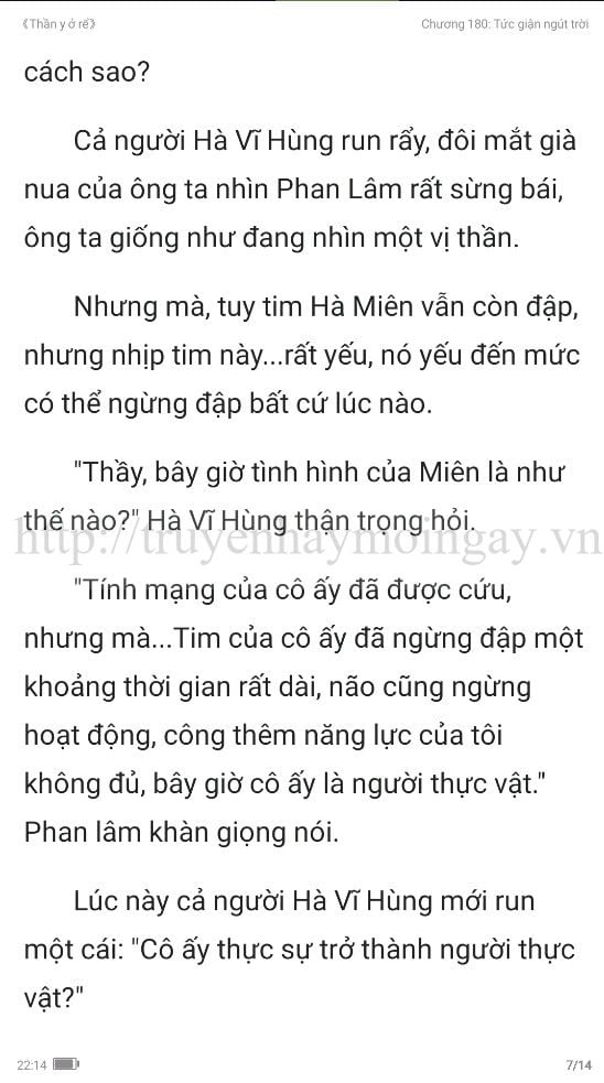 thần y ở rể