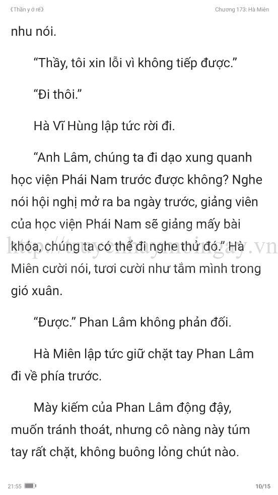 thần y ở rể