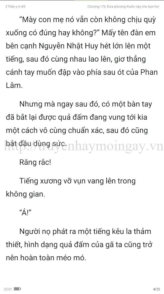 thần y ở rể