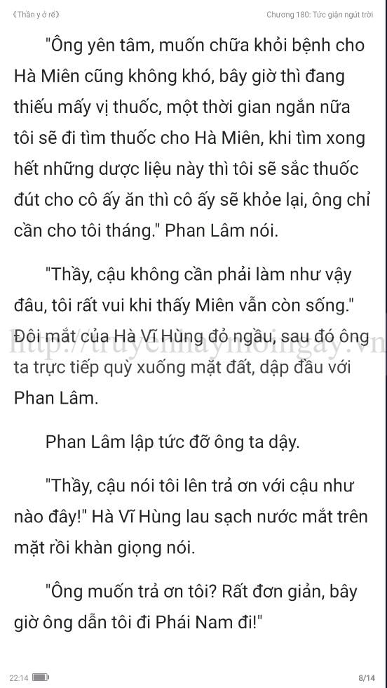 thần y ở rể