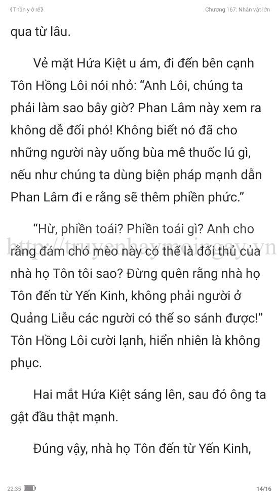 thần y ở rể