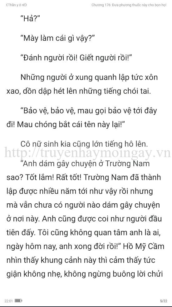 thần y ở rể