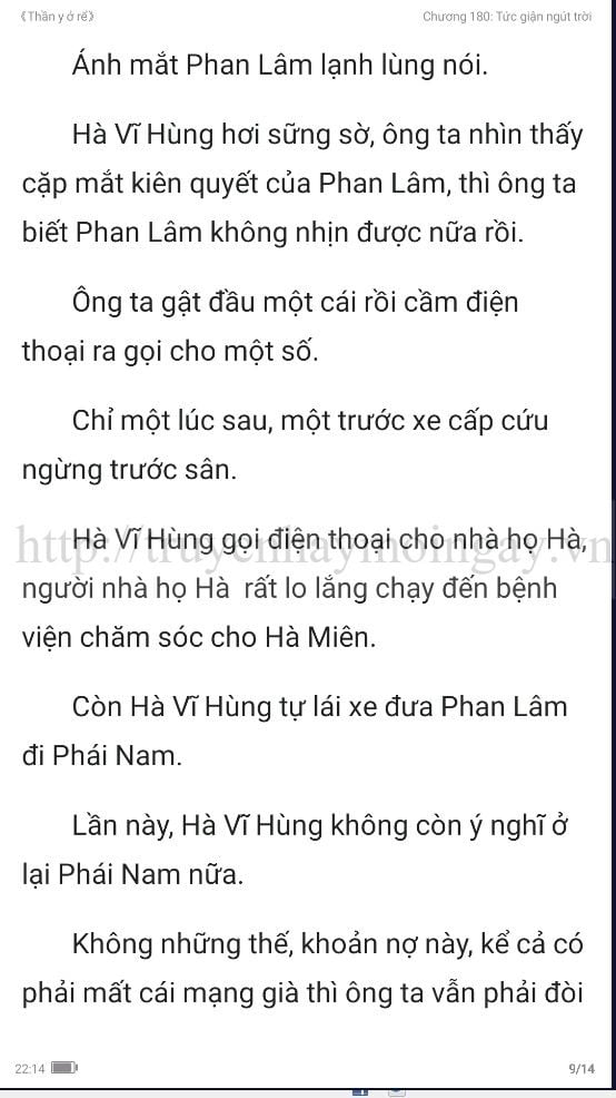 thần y ở rể