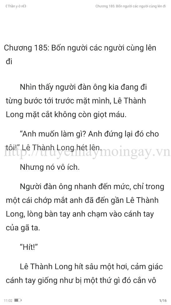 thần y ở rể