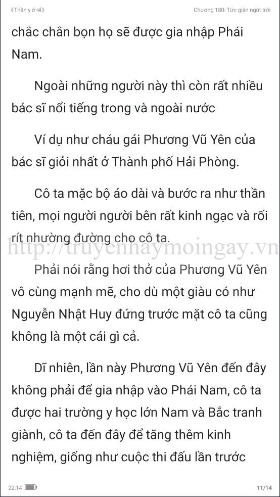 thần y ở rể