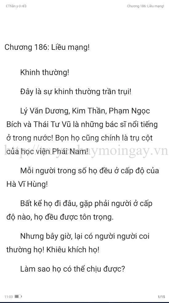 thần y ở rể