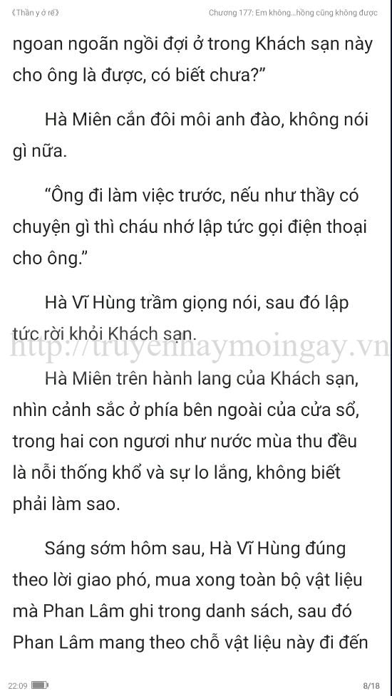 thần y ở rể