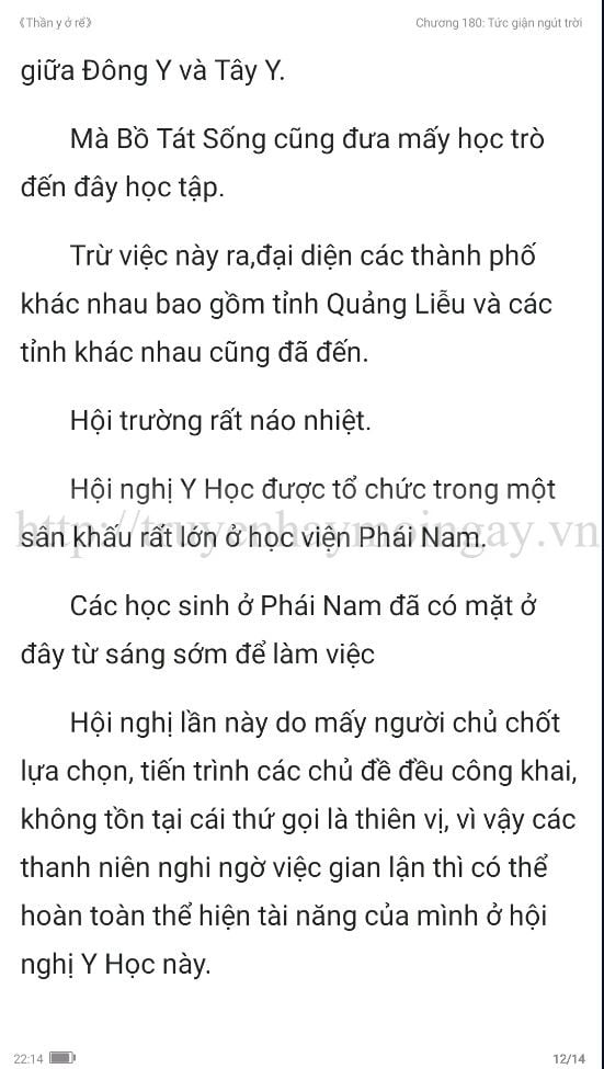 thần y ở rể