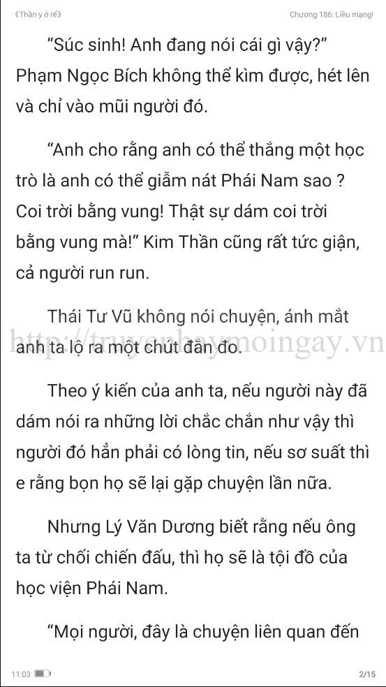 thần y ở rể