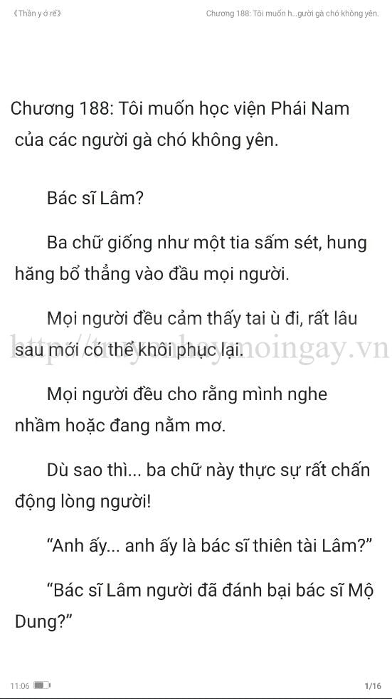 thần y ở rể