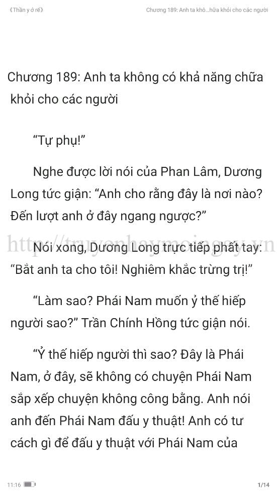 thần y ở rể