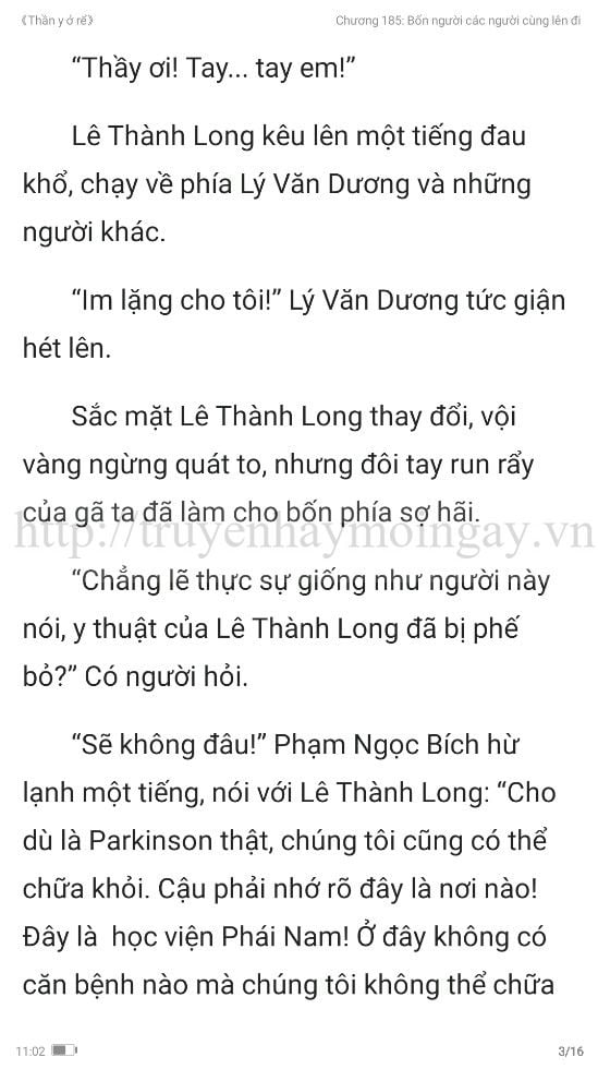 thần y ở rể