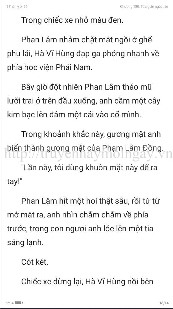 thần y ở rể