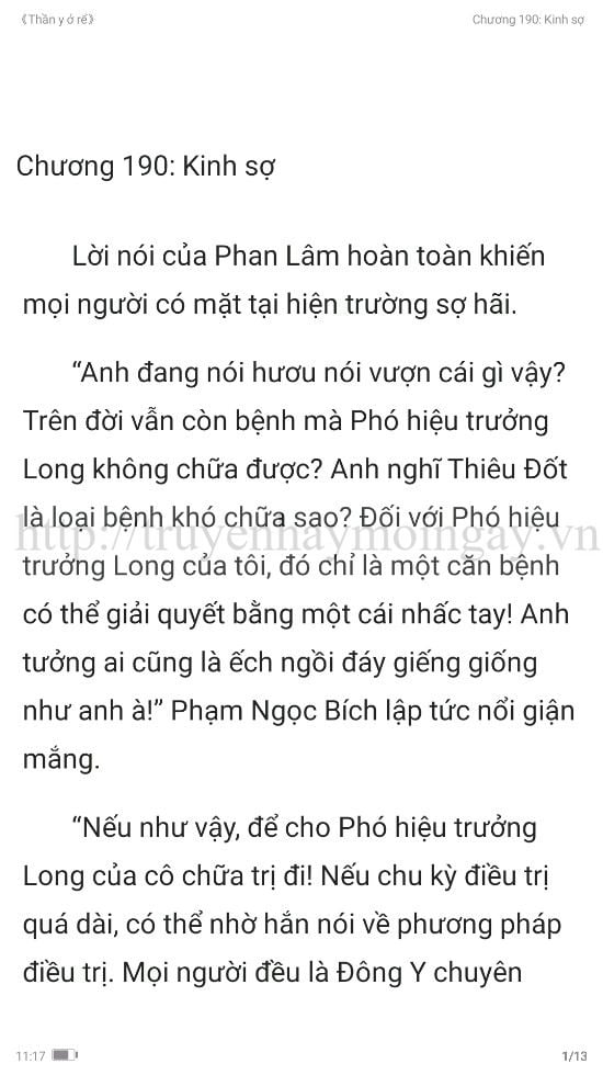 thần y ở rể