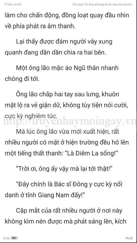 thần y ở rể