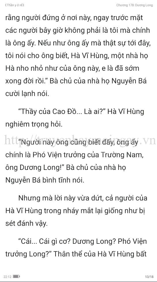 thần y ở rể