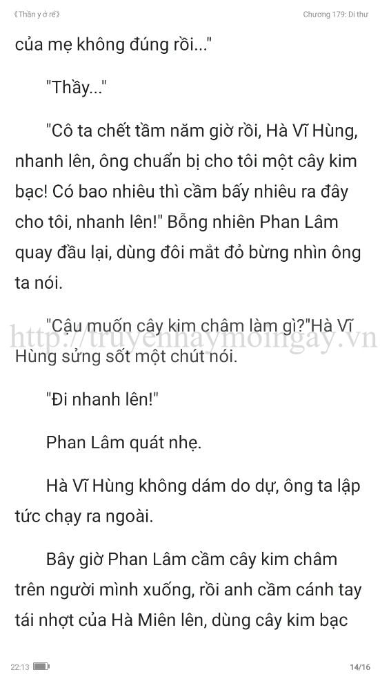 thần y ở rể