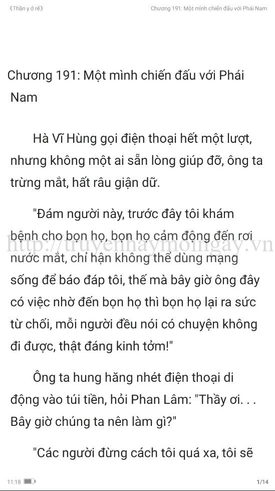 thần y ở rể