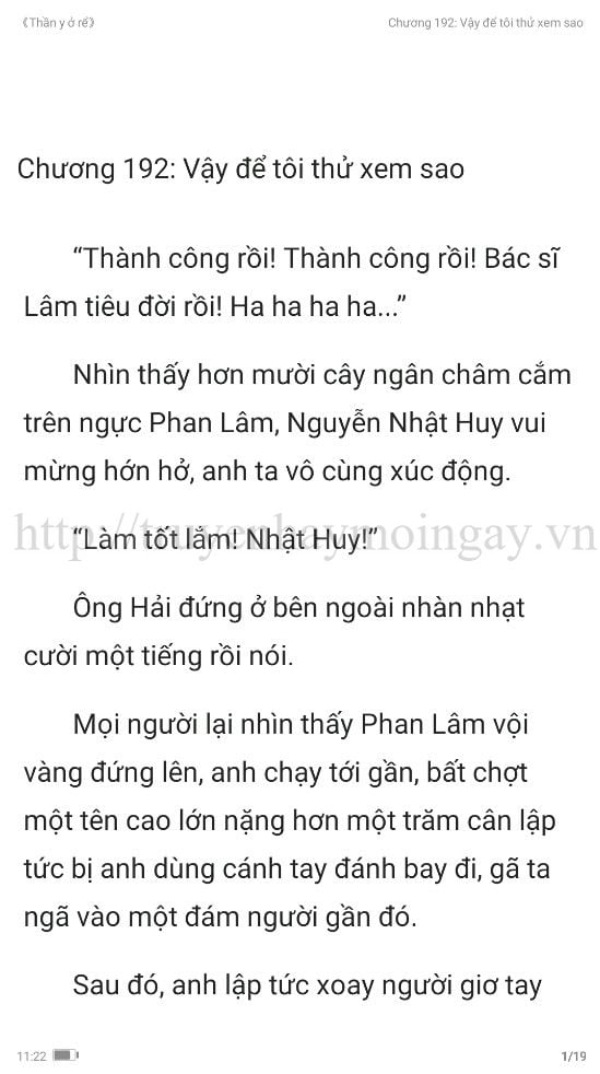 thần y ở rể