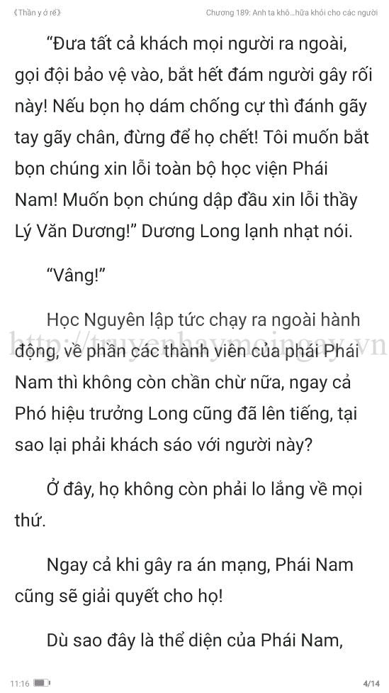 thần y ở rể